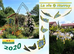 BULLETIN ANNUEL 2020